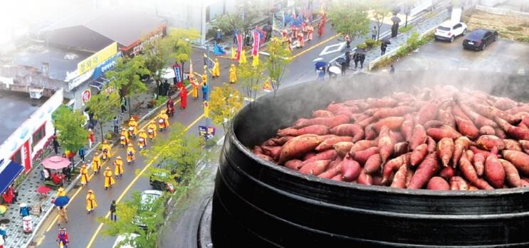원주시, 제4회 치악산 고구마 축제 ...