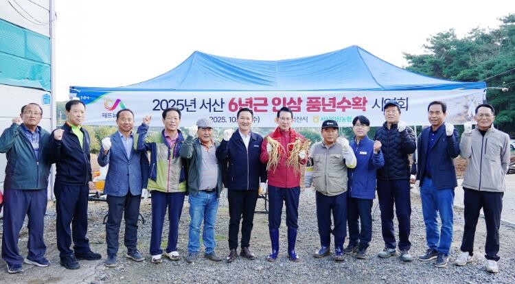 이완섭 서산시장, 해미면 인삼 수확 ...