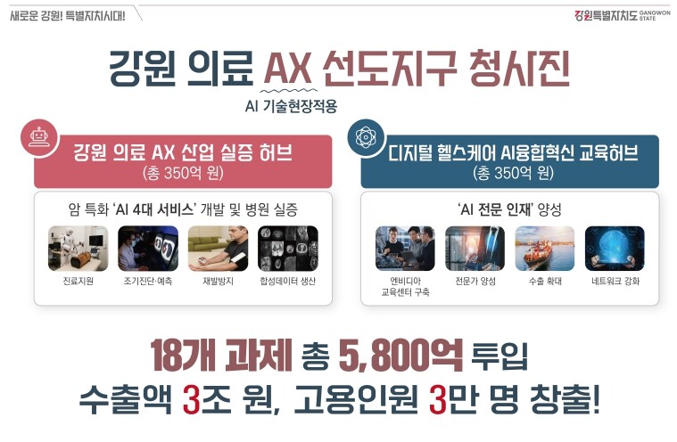 강원특별자치도, 의료 AX 선도지구 ...