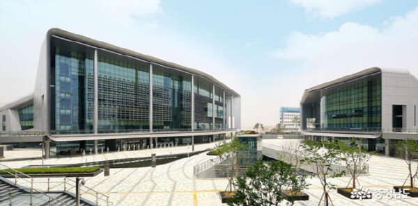 충청남도, 고병원성 AI 의사환축 농...