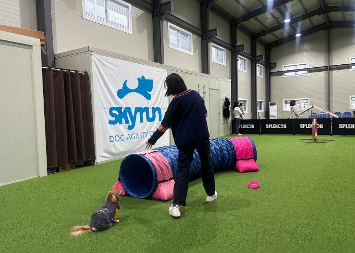 김포시, 반려견 건강 증진 프로그램 ...