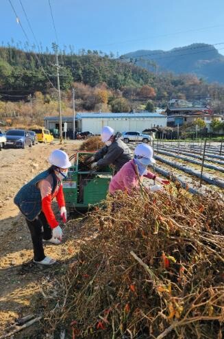 무주군, 영농부산물 파쇄지원 서비스 ...
