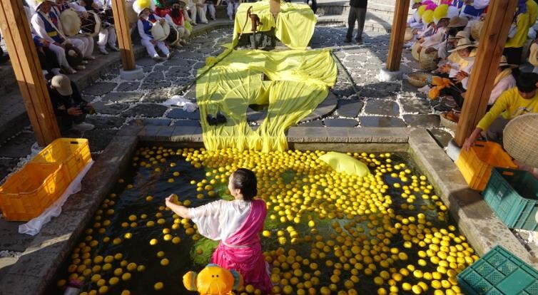 고흥유자축제, 3년 연속 전남도 대표...