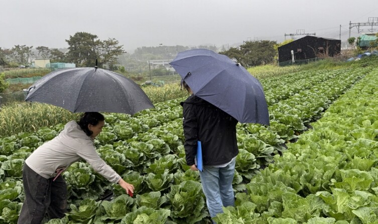 기장군, 기후변화 대비 농작물 병해충...