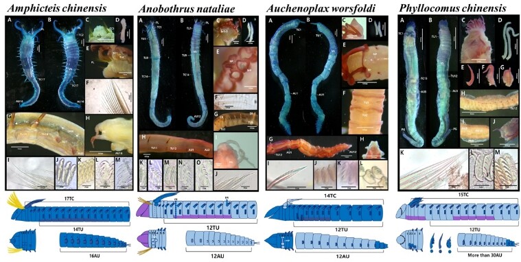 전남대 스마트수산자원관리학과, 한 해...