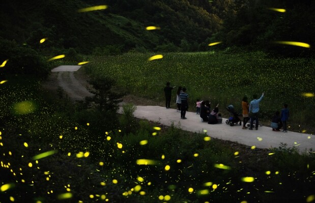무주군, 2026년 지방소멸대응기금 ...