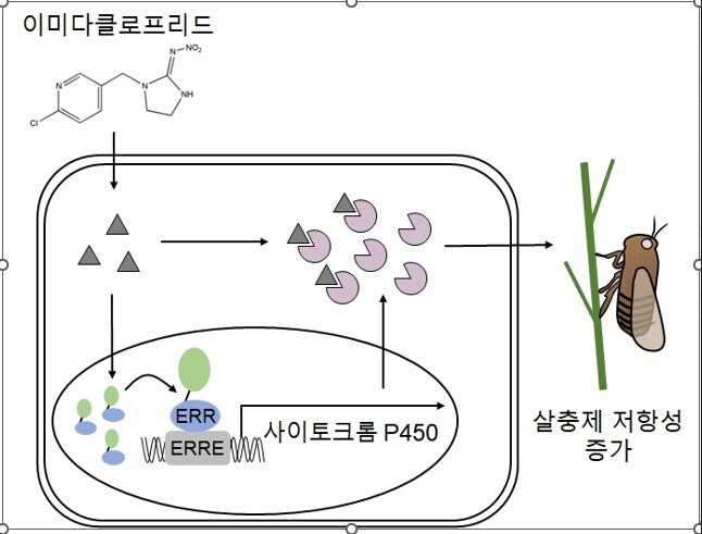 전남대, 살충제에도 살아남는 벼멸구 ...
