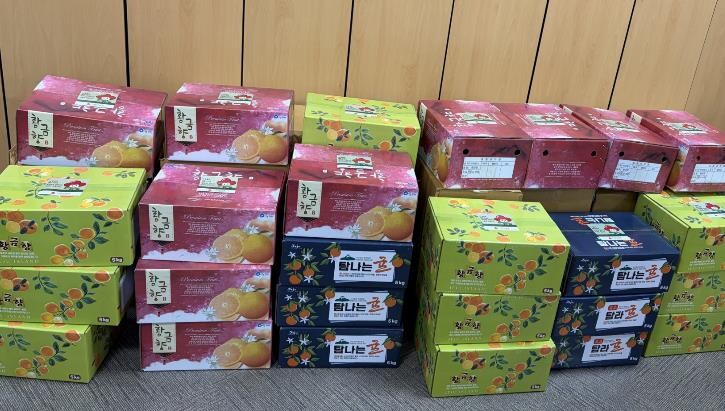 세종시 한솔동에 고향 사랑 담긴 제주...